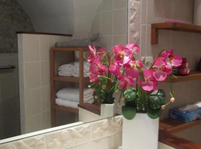 Appartement Location Meuble 19m² Proche De La *